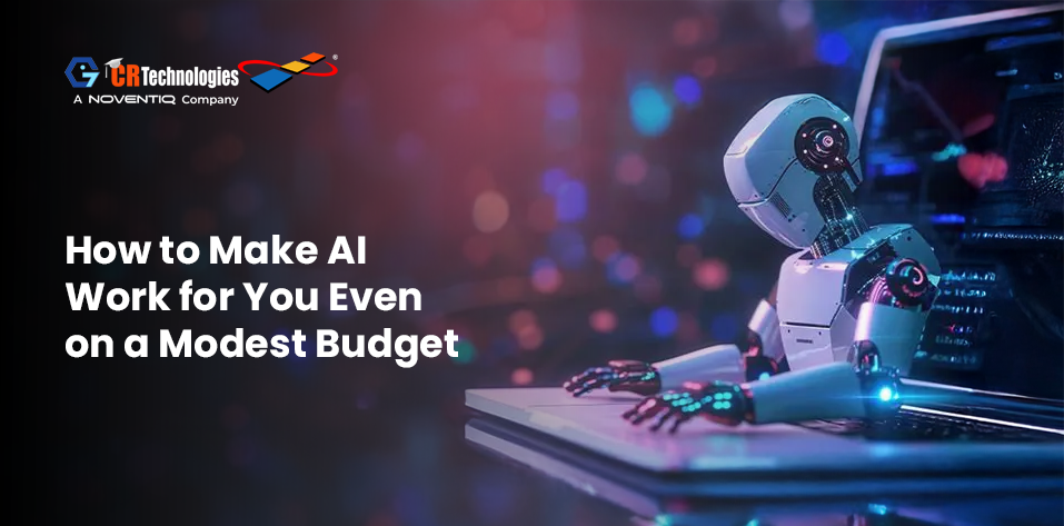 How to Make AI Work for You Even on a Modest Budget
